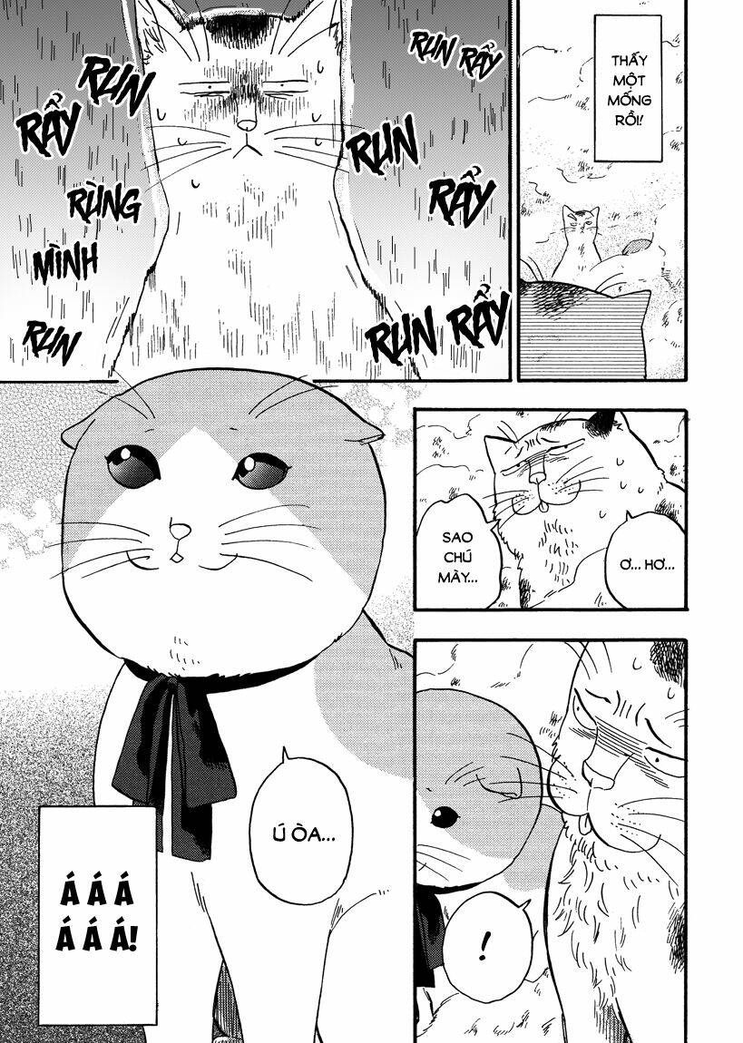 tui là busamen! chapter 8 5