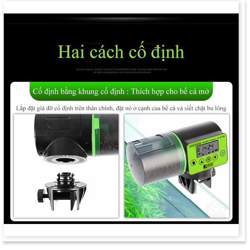 MÁY CHO CÁ ĂN TỰ ĐỘNG