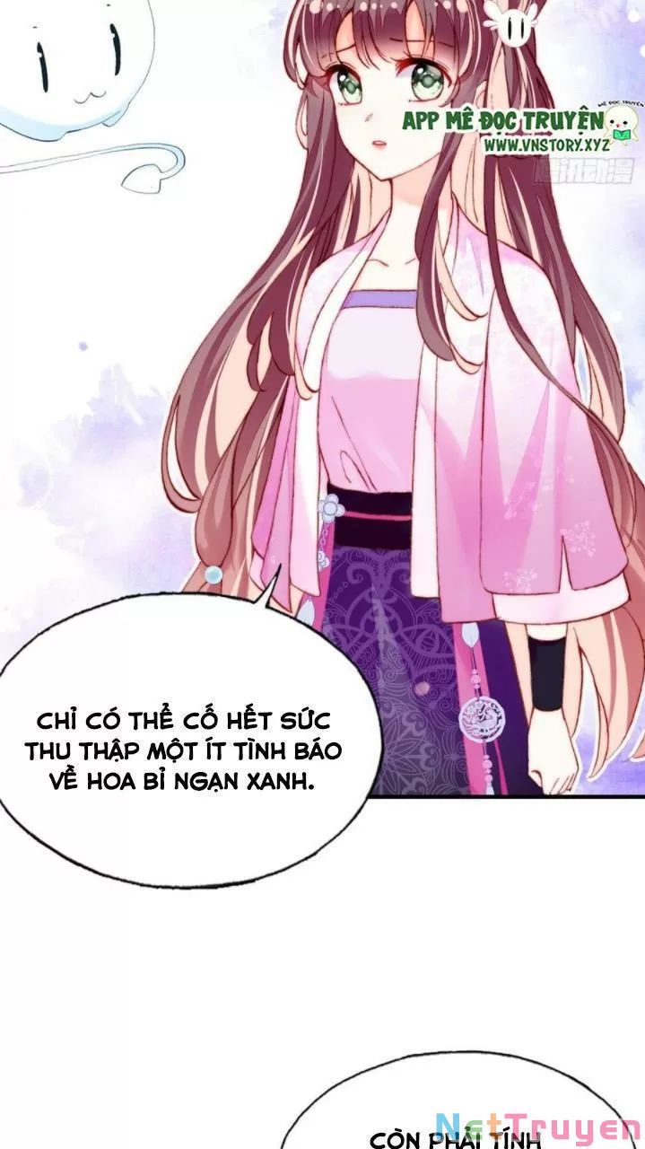 lại bị bệnh chiều chuộng quấn lấy chapter 36 12