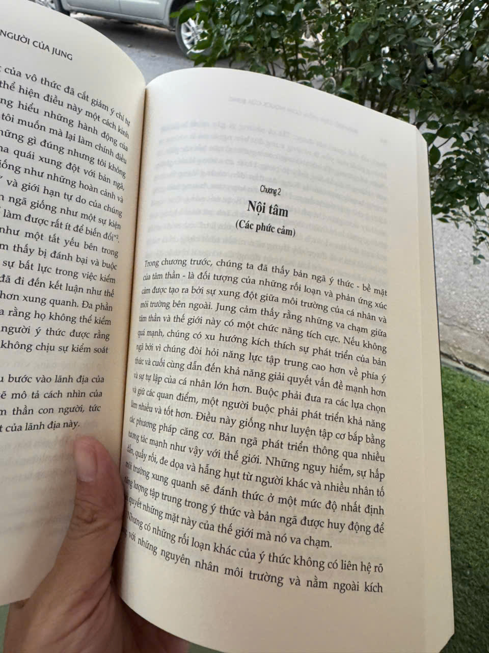 BẢN ĐỒ TÂM HỒN CON NGƯỜI CỦA JUNG - Khám Phá Thế Giới Nội Tâm Qua Lăng Kính Của C.G. Jung – Murray Stein – Alphabooks – NXB Tri Thức