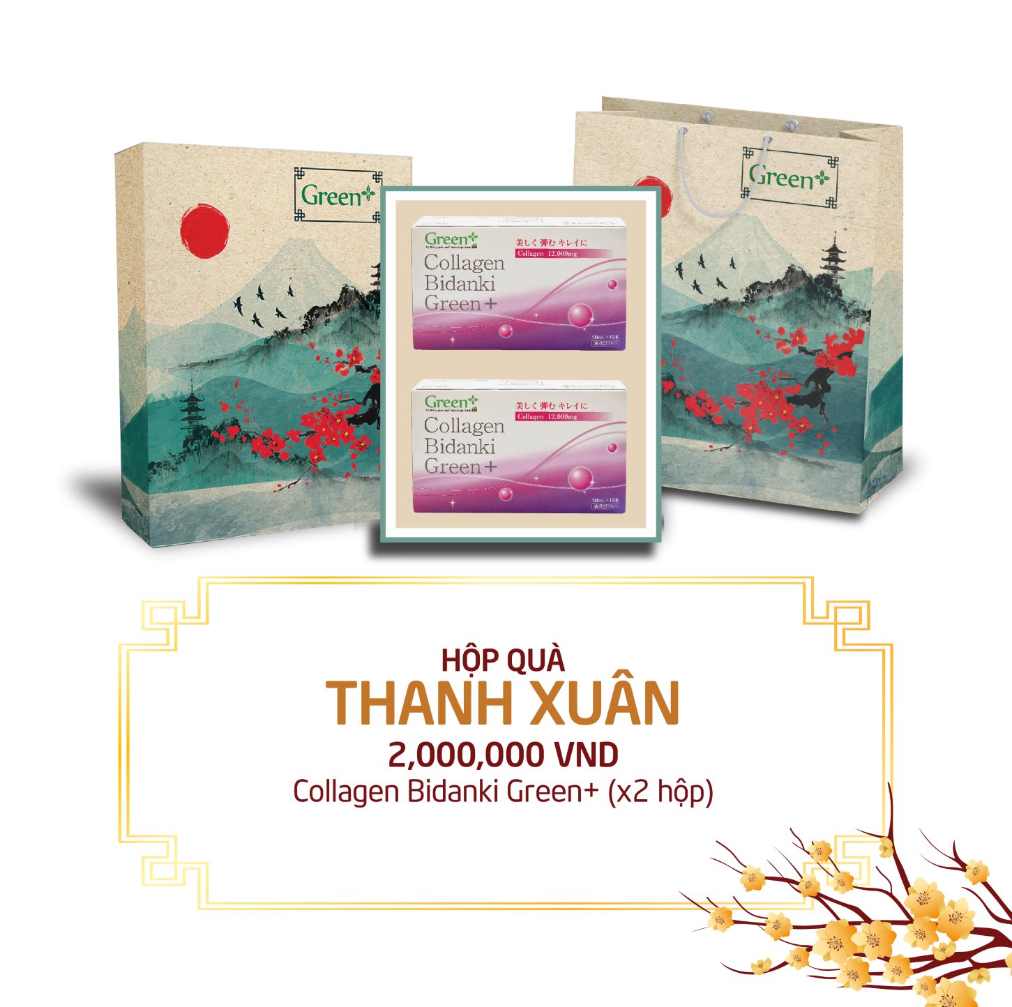 Hộp quà tết 2025 - Hộp quà sức khỏe Thanh Xuân
