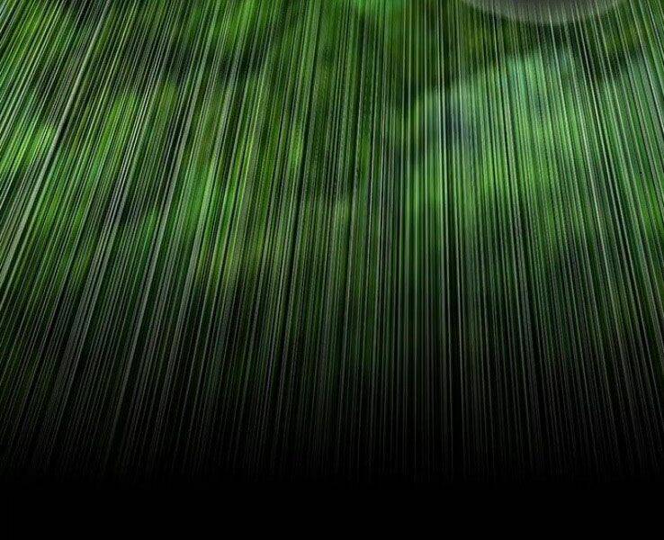 druid tại ga seoul - người hóa thú chapter 39 269