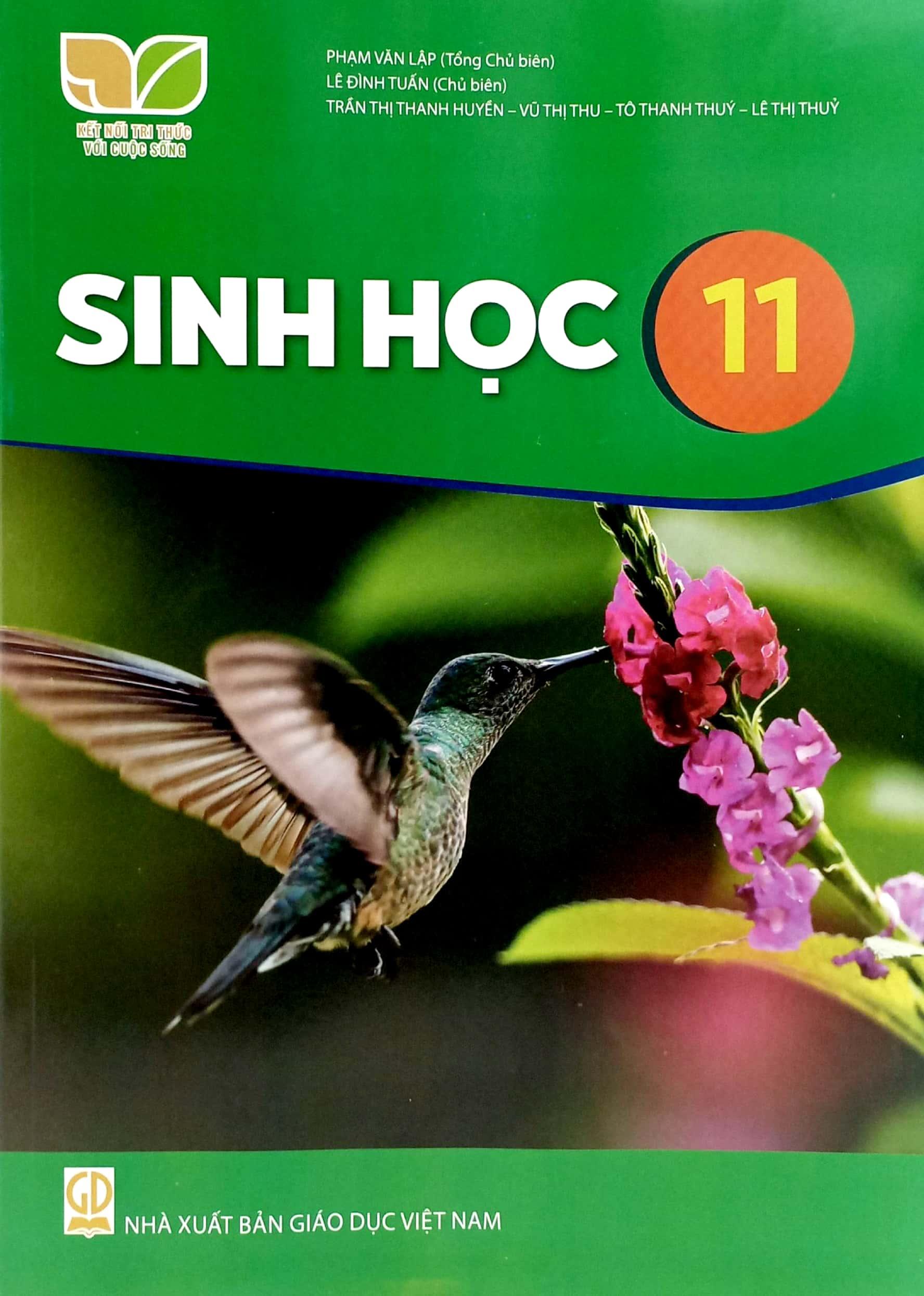 Sinh Học 11 (Kết Nối Tri Thức) (2023)