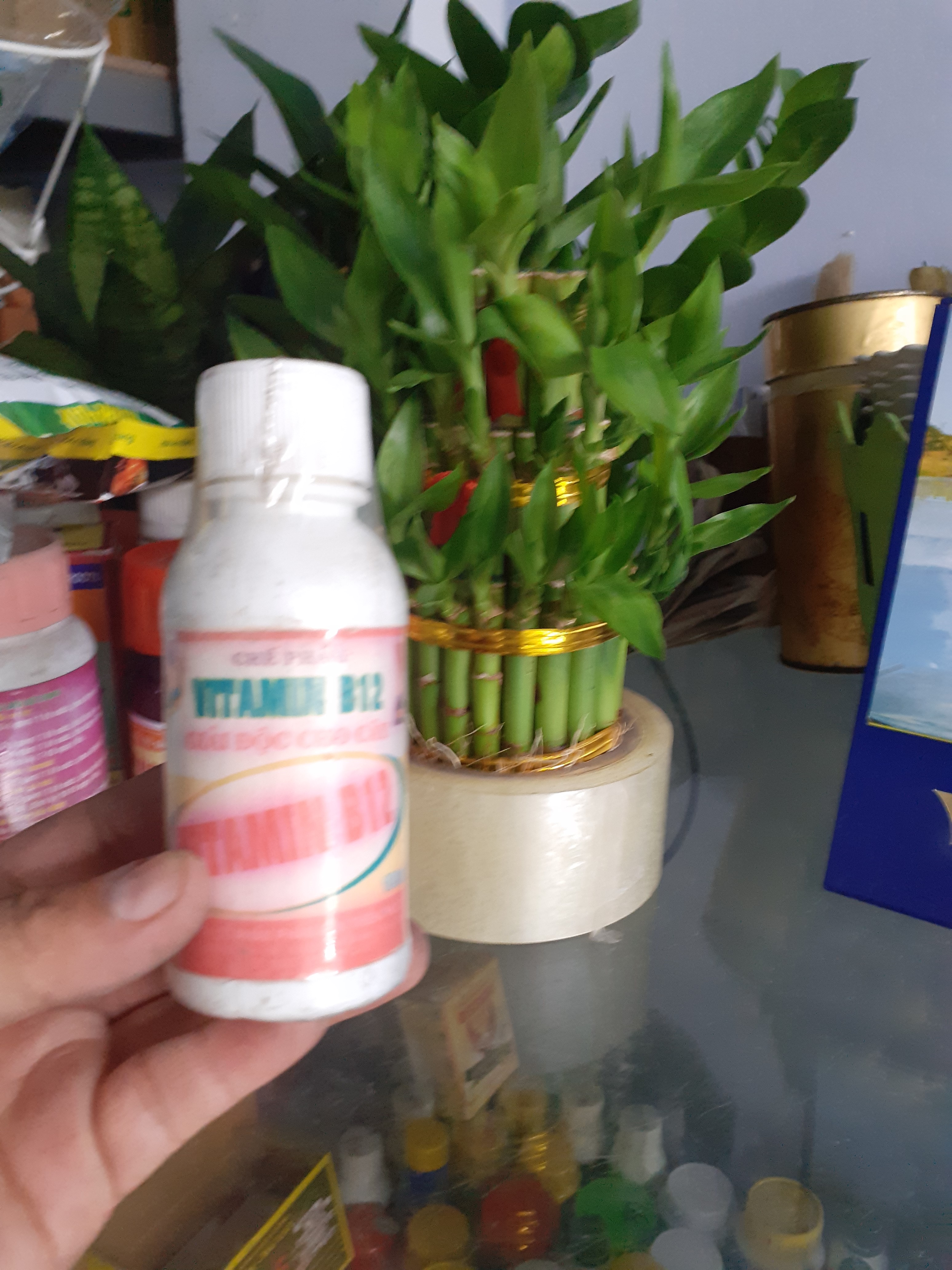 Chế phẩm giải độc cho cây Vitamin B12