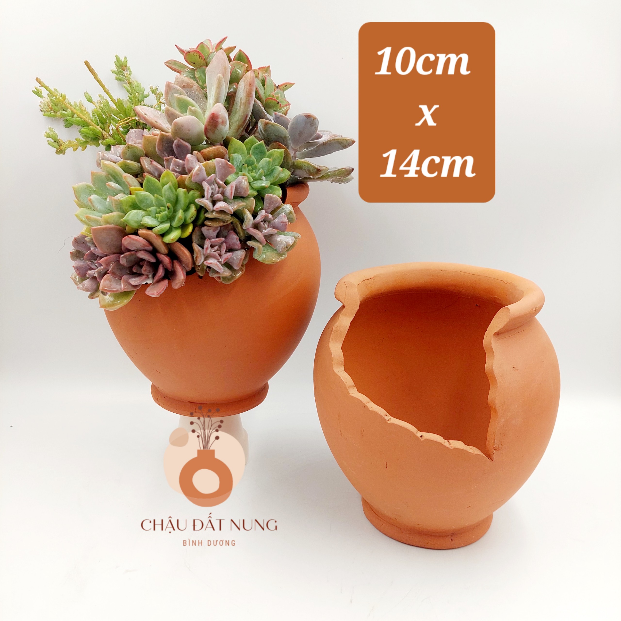 Chậu đất nung, chậu sen đá - Chum 1014, miệng chậu 10cm, chiều cao 14cm