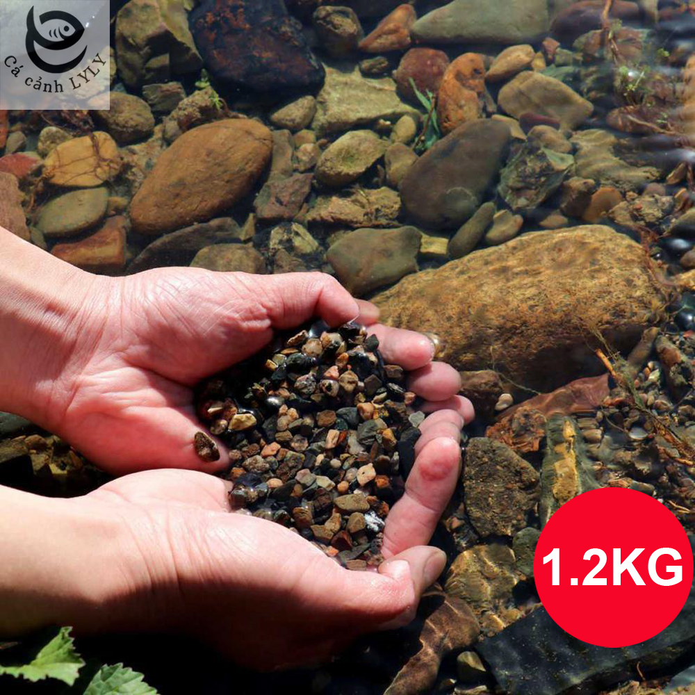 Sỏi suối 3 màu trang trí bể cá, hồ thủy sinh, tiểu cảnh, cây cảnh, chậu sen đá, xương rồng, hòn non bộ, lọc nước hồ cá