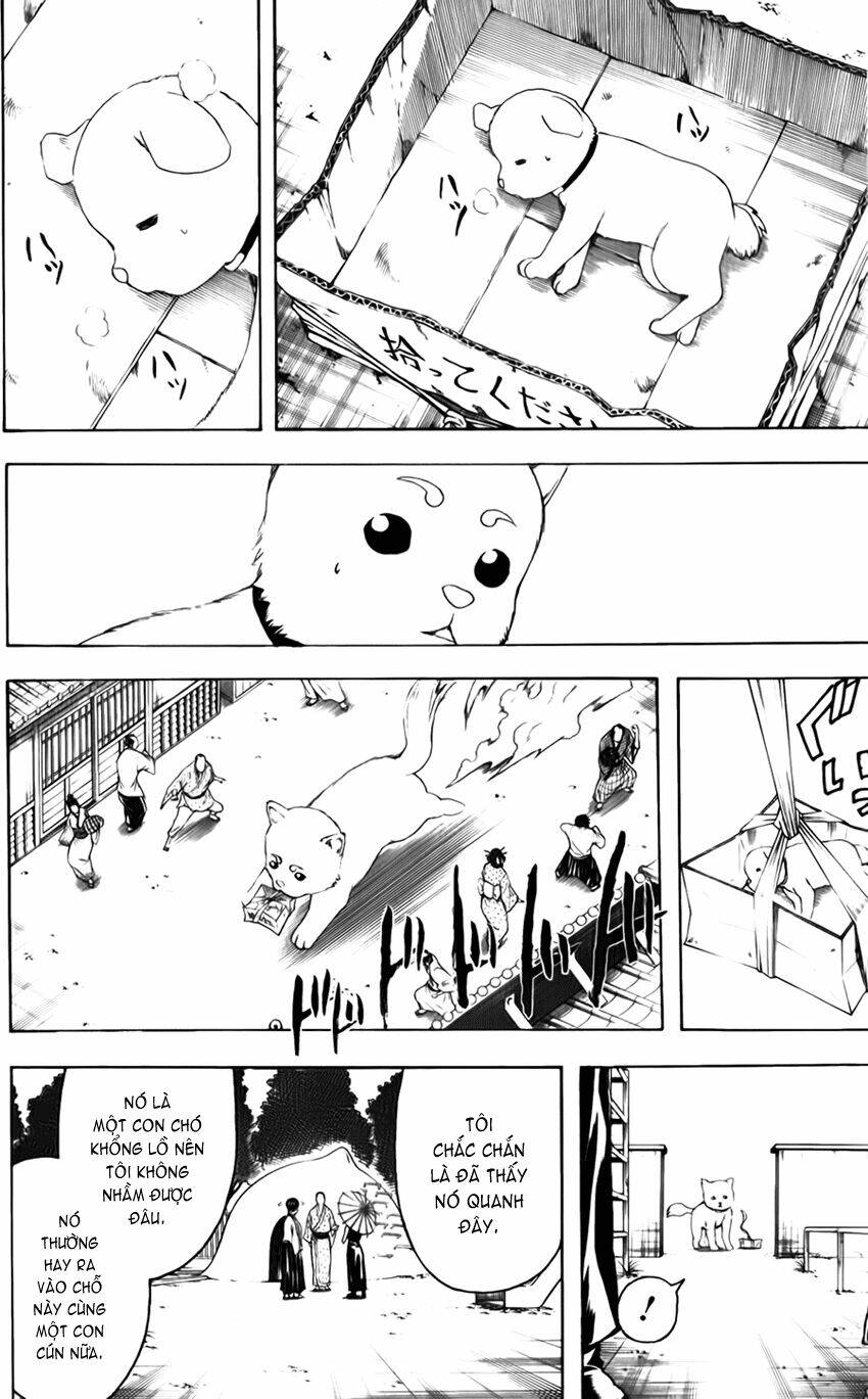 gintama - linh hồn bạc chapter 401 21
