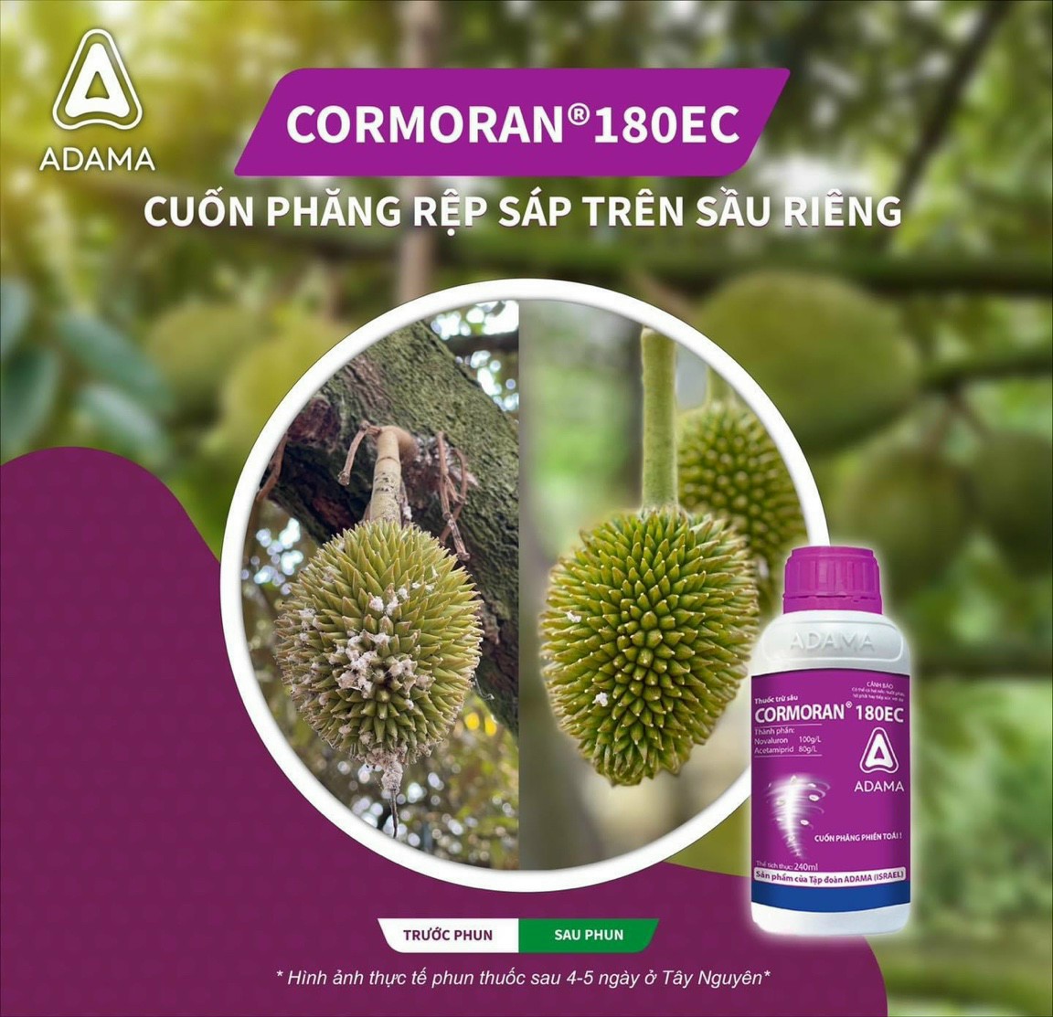 CORMORAN ( TRỪ RỆP SÁP ) 240ML