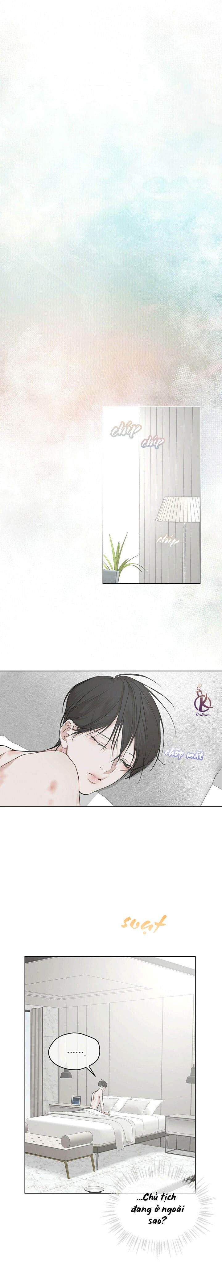 hình thái khởi sinh chapter 42 22