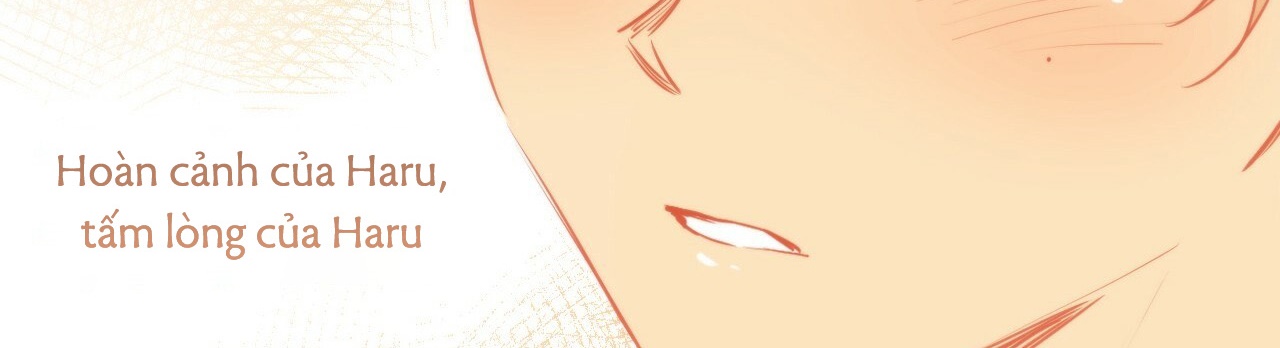 đàn thỏ của habibi chapter 22 436