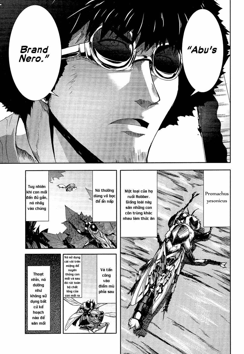 arachnid chapter 33 14