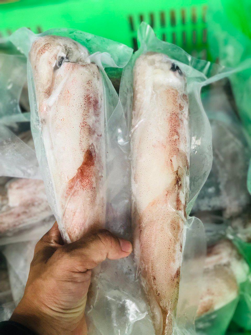 MỰC ỐNG 4CON/KG