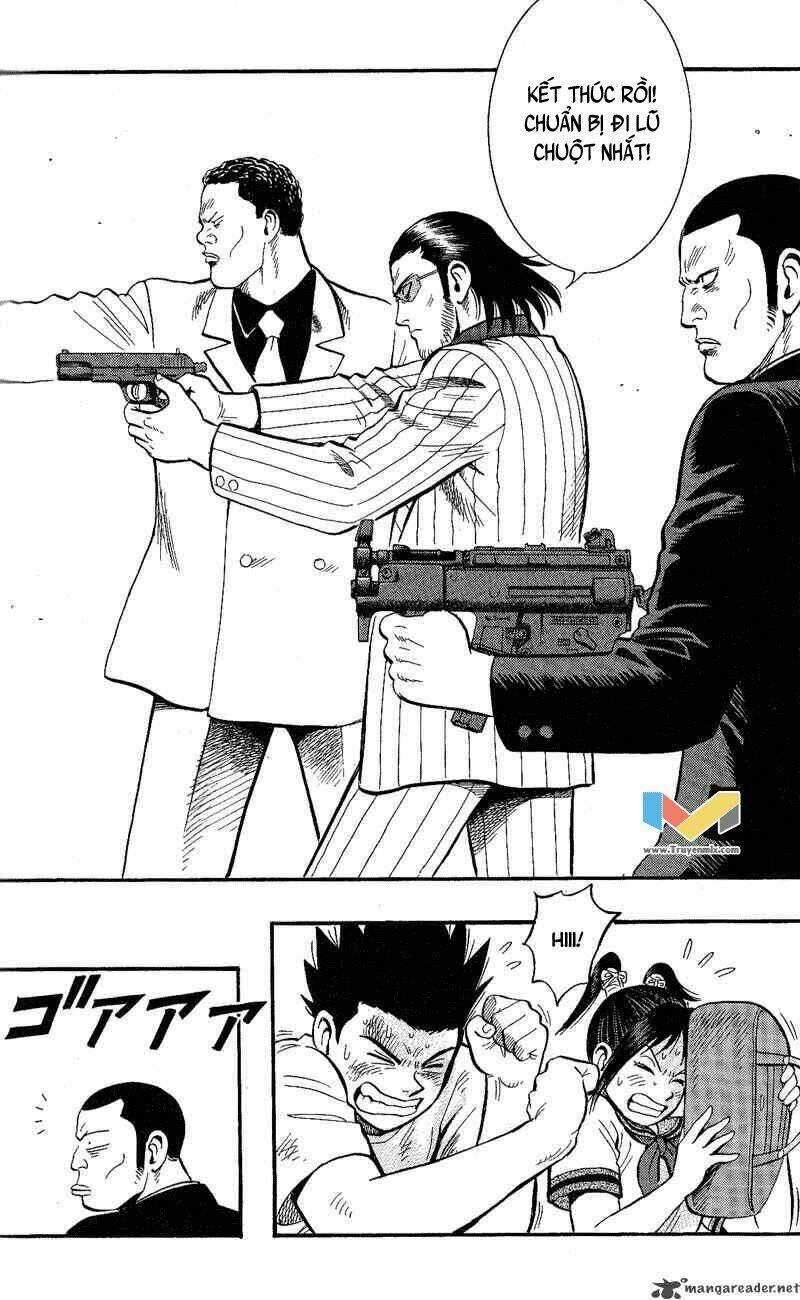 animal sense chapter 11 34