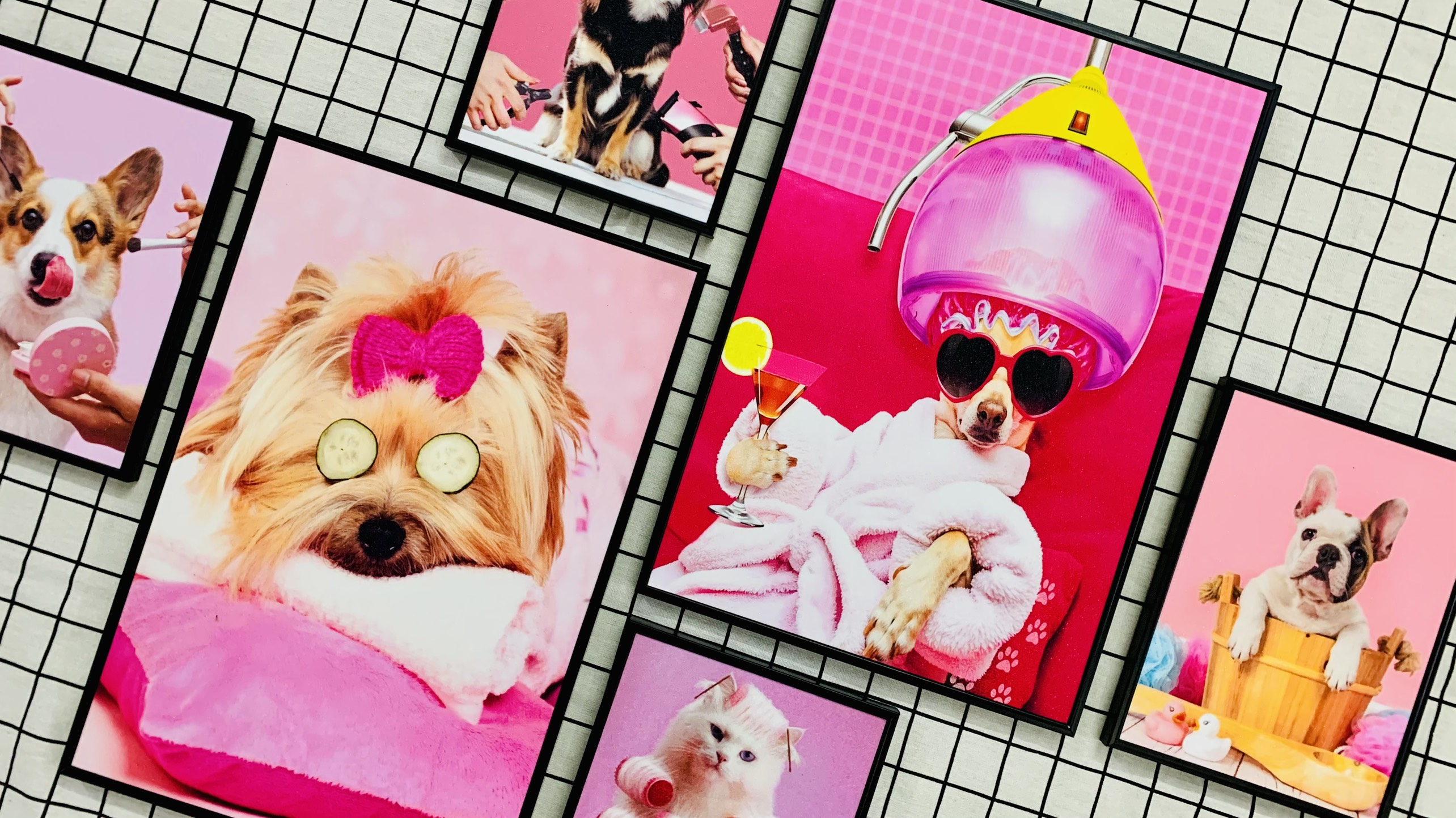 Tranh treo tường thú cưng - tranh treo tường tiệm thú ý-tranh treo tường cho bé THD118 - tặng kèm đinh 3 chân