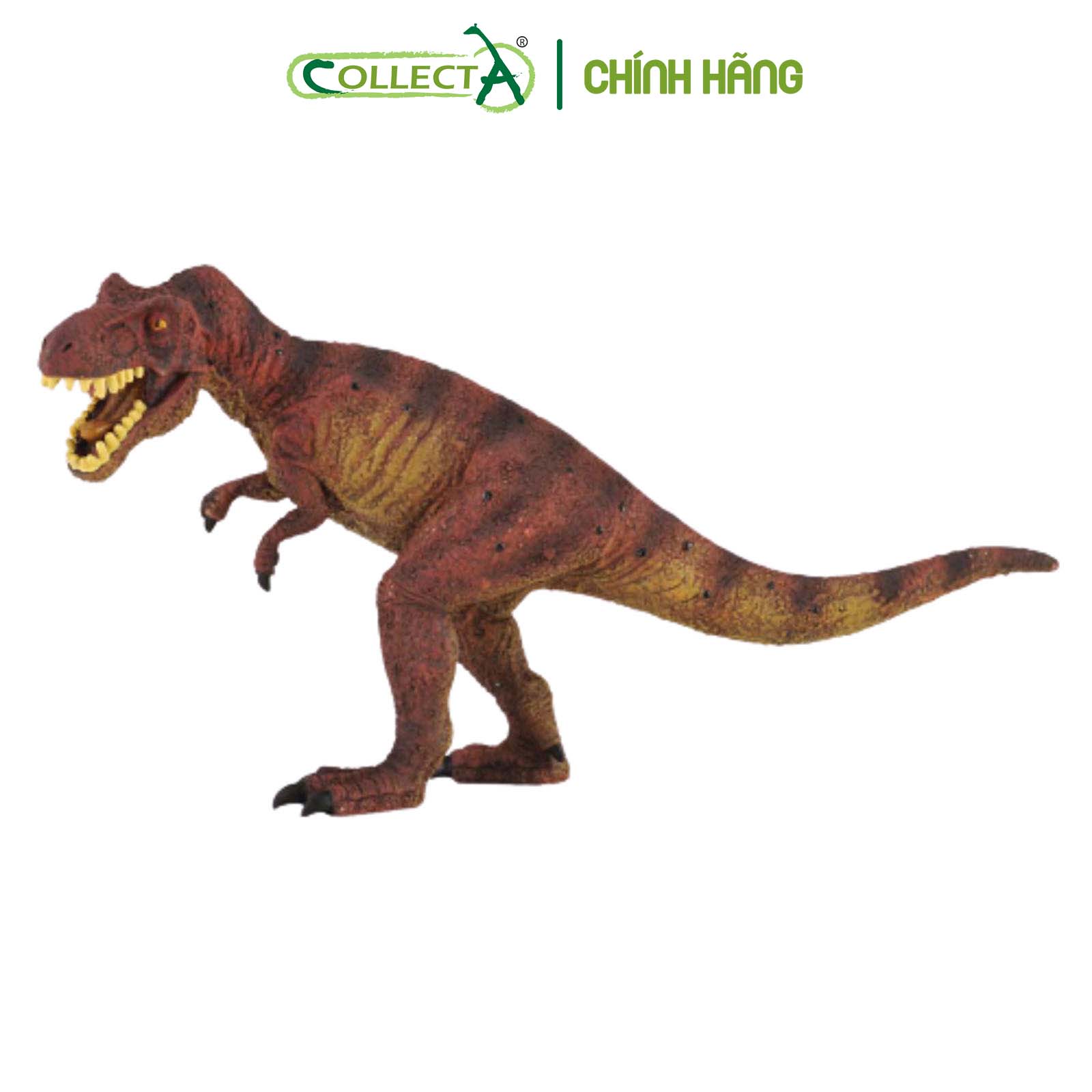 Mô hình thu nhỏ: Khủng Long Tyrannosaurus Rex  - Tyrannosaurus Rex , hiệu: CollectA, mã HS 9654080[88036] -  Chất liệu an toàn cho trẻ - Hàng chính hãng