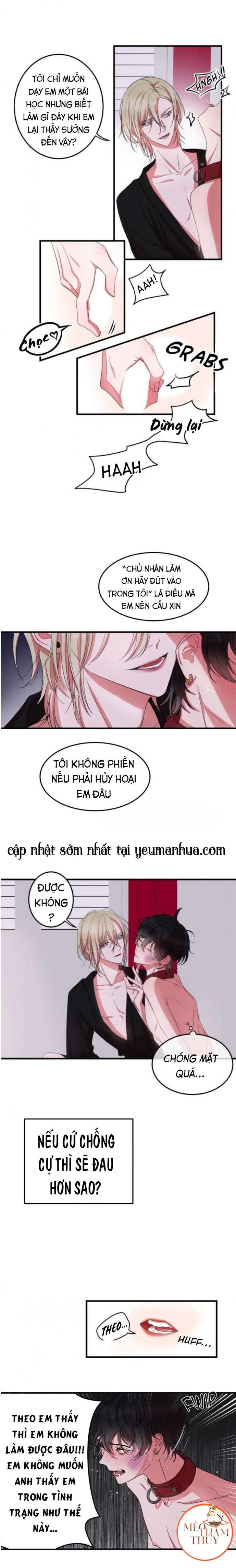 khẩu vị và sự tôn thờ của người yêu tôi chapter 4 4