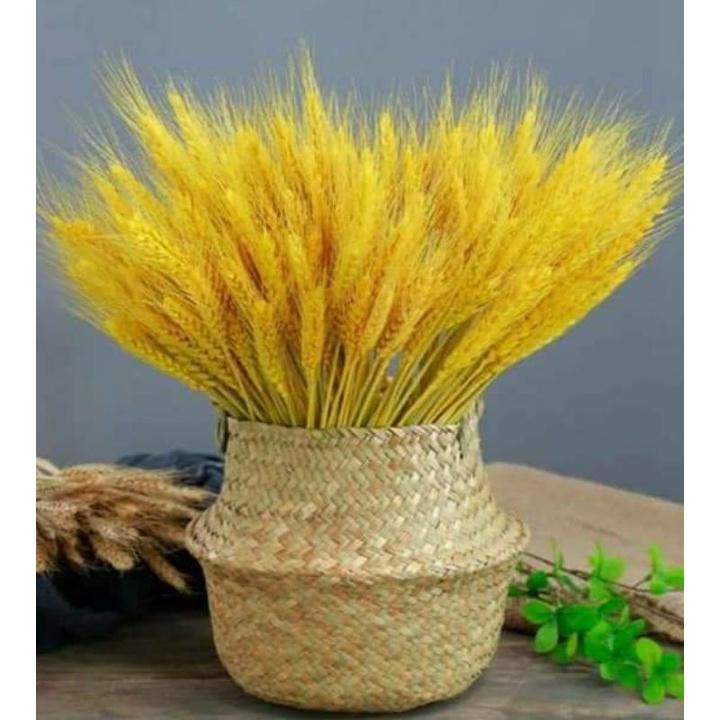Giỏ cói 23cm để cây, cắm hoa