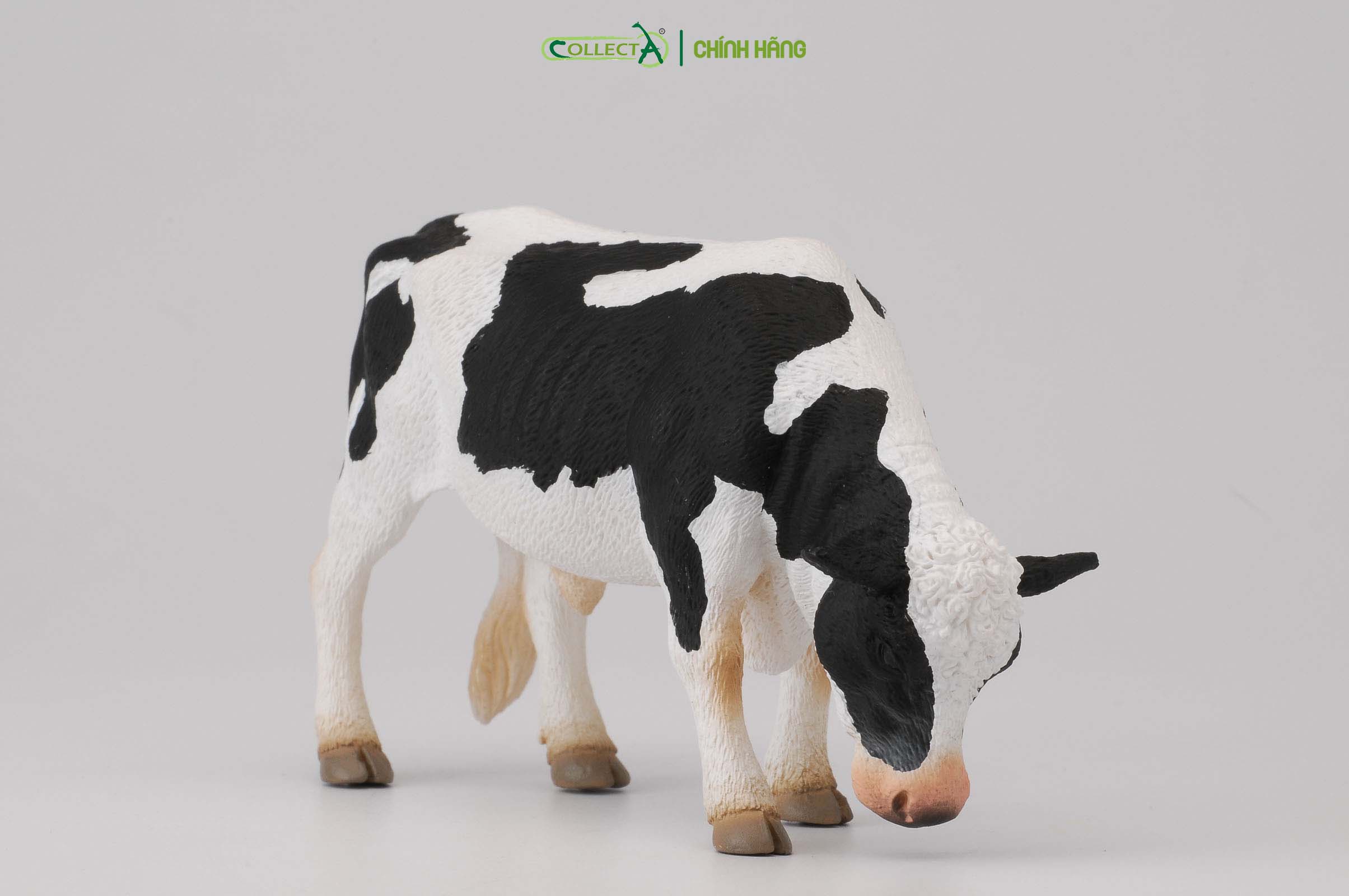 Mô hình thu nhỏ: Bò Hà Lan bố - Friesian Bull  , hiệu: CollectA, mã HS 9650060[88482] -  Chất liệu an toàn cho trẻ - Hàng chính hãng