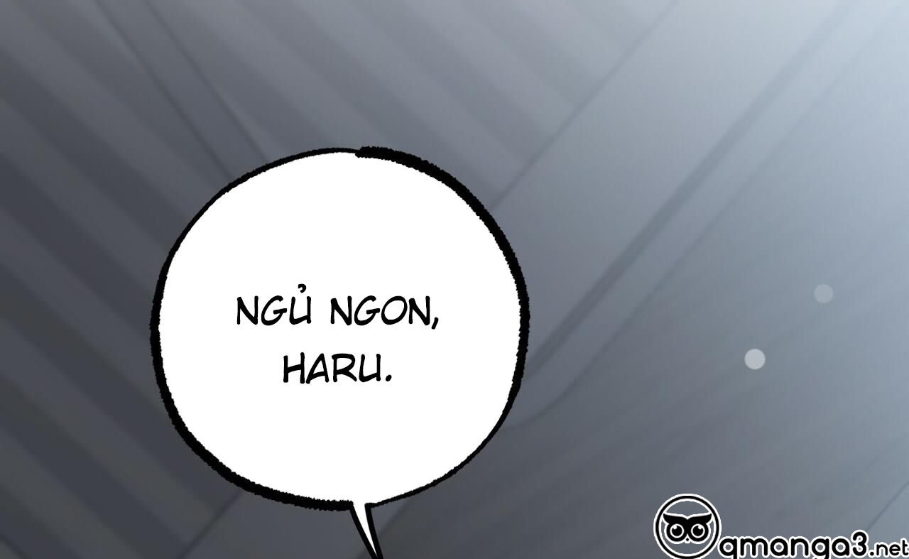 những chú thỏ của hapypy chapter 52 247