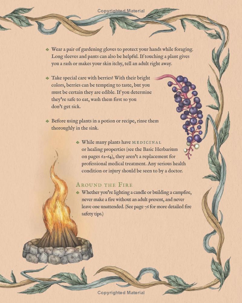 Sách ngoại văn: The Wheel Of The Year - An Illustrated Guide To Nature's Rhythms