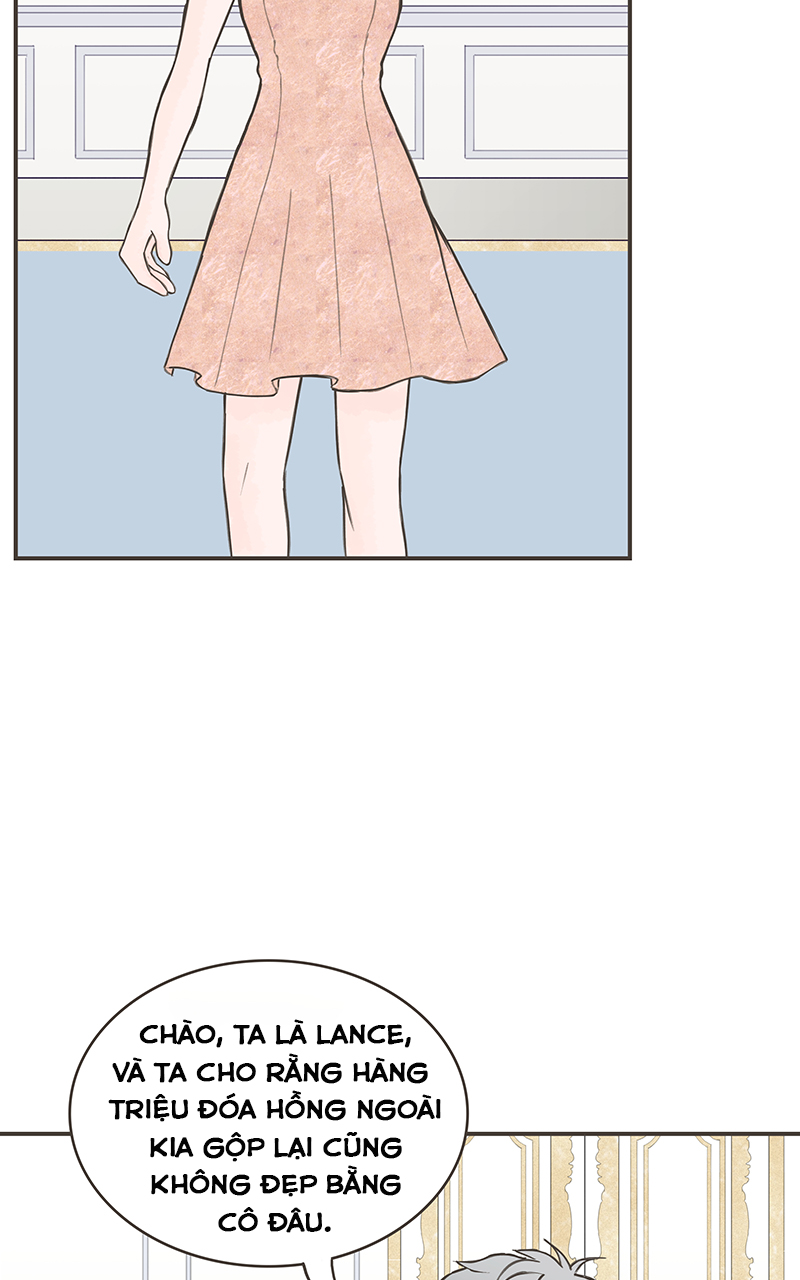 những nàng công chúa bị nguyền rủa chapter 6 20