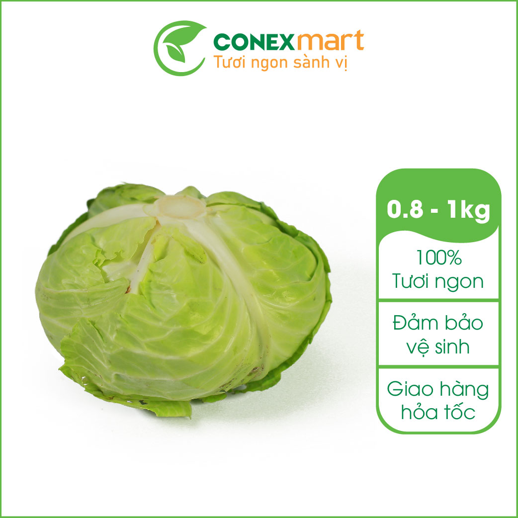 Bắp Cải Trắng - 1 Bắp