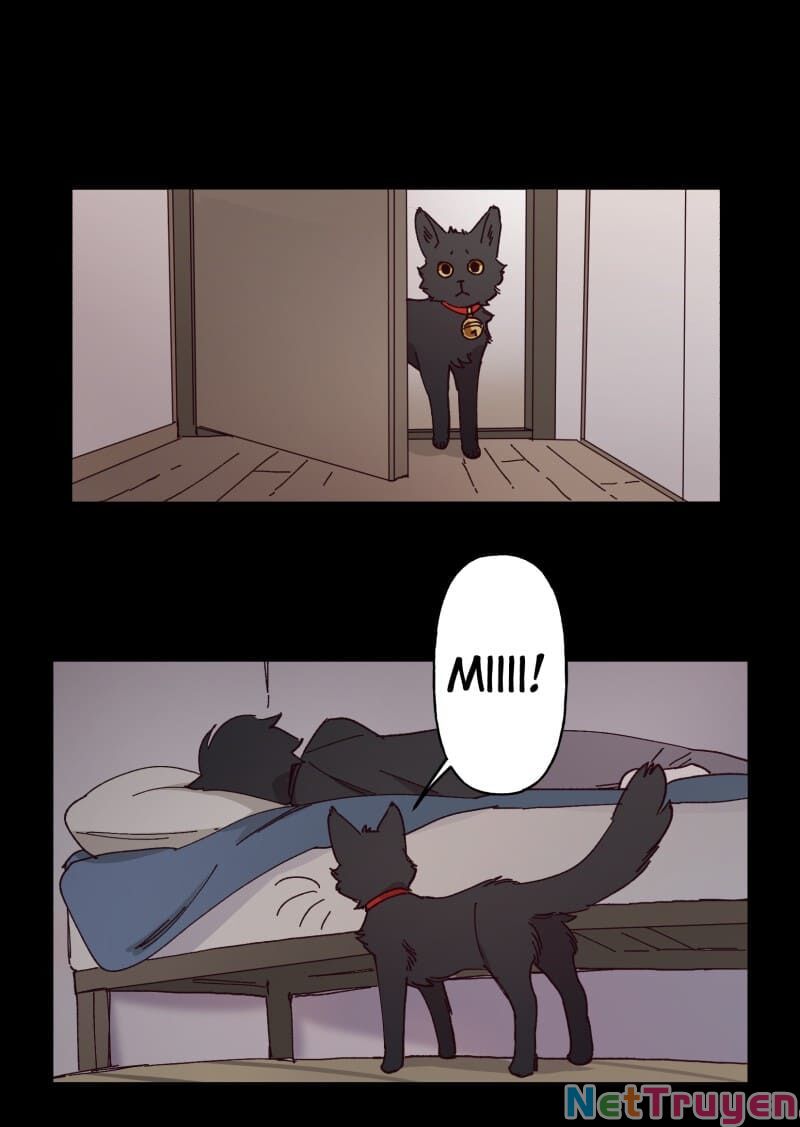 lumine - cội nguồn ánh sáng chapter 95 10