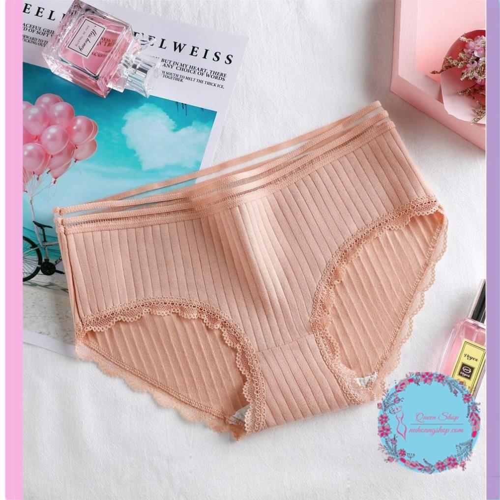 Quần Lót Cotton Tăm Cạp Viền Cao Cấp Quần lót nữ cotton co dãn mềm mịn DL108