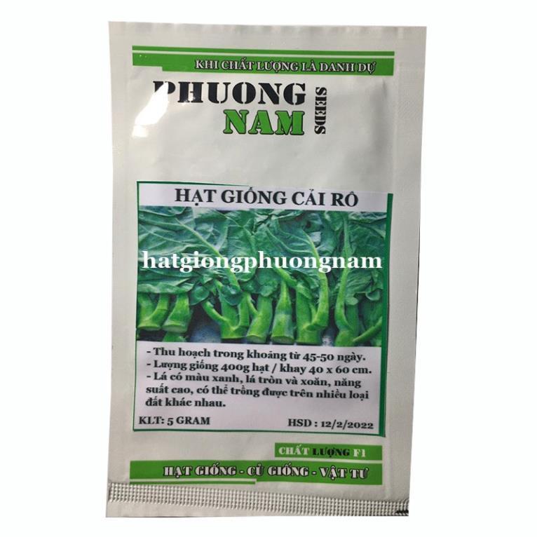 5GR - HẠT GIỐNG RAU CẢI RỔ