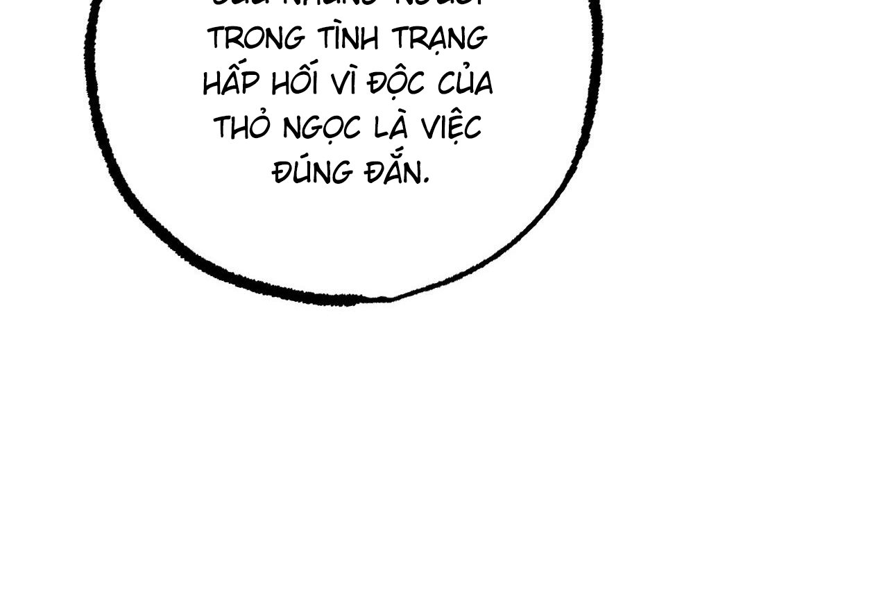 những chú thỏ của hapypy chapter 62 131
