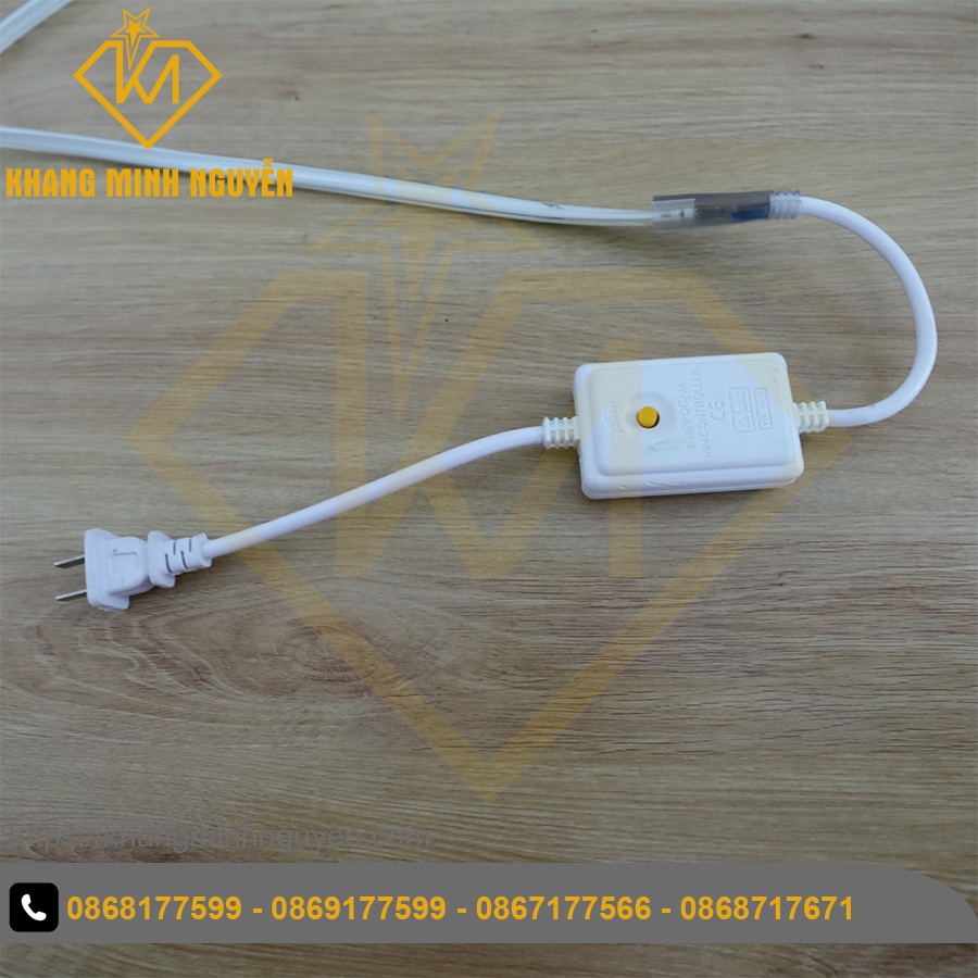 Led dây 220V chớp đuổi nhiều màu, chỉnh được chế độ chớp - bọc chống nước - trang Lễ Tết, quấn thân cây