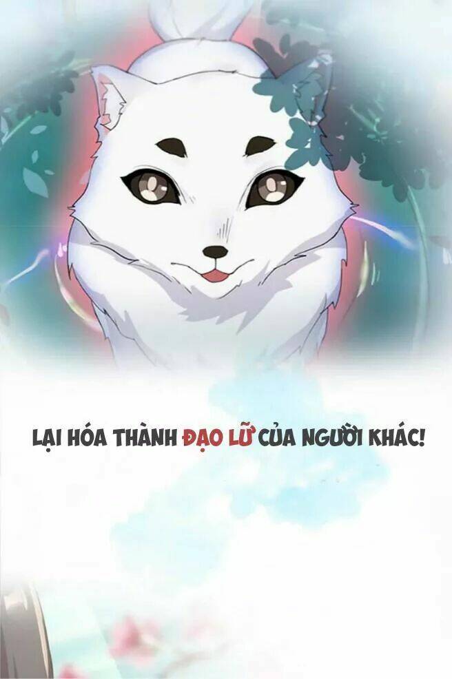 dụ ái tiểu hồ tiên chapter 0 6