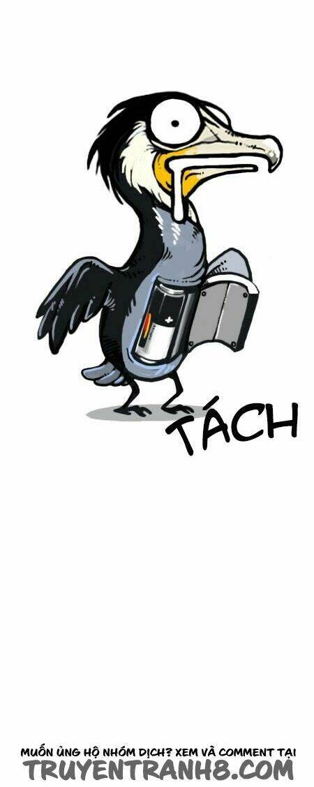 earth, human, and animal chapter 20 10