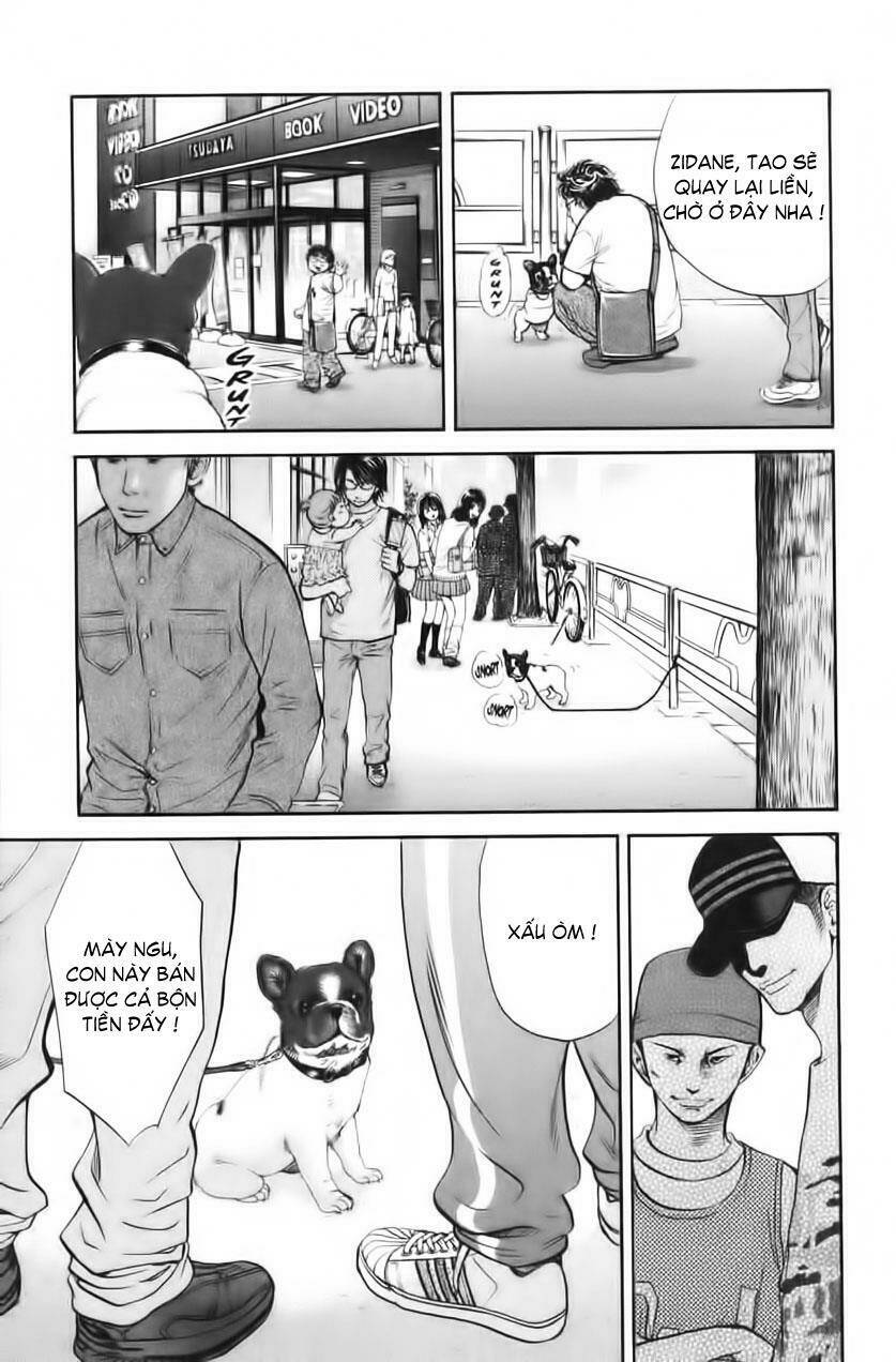 cô nàng yêu chó chapter 28 13