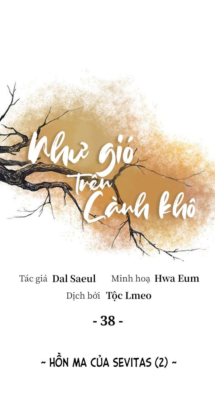 như gió trên cành cây khô chapter 38 8