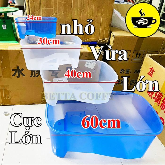 Bể Nuôi Rùa - Nuôi cá ếch thằn lằn chuột đều được - Size Lớn & Cực Lớn