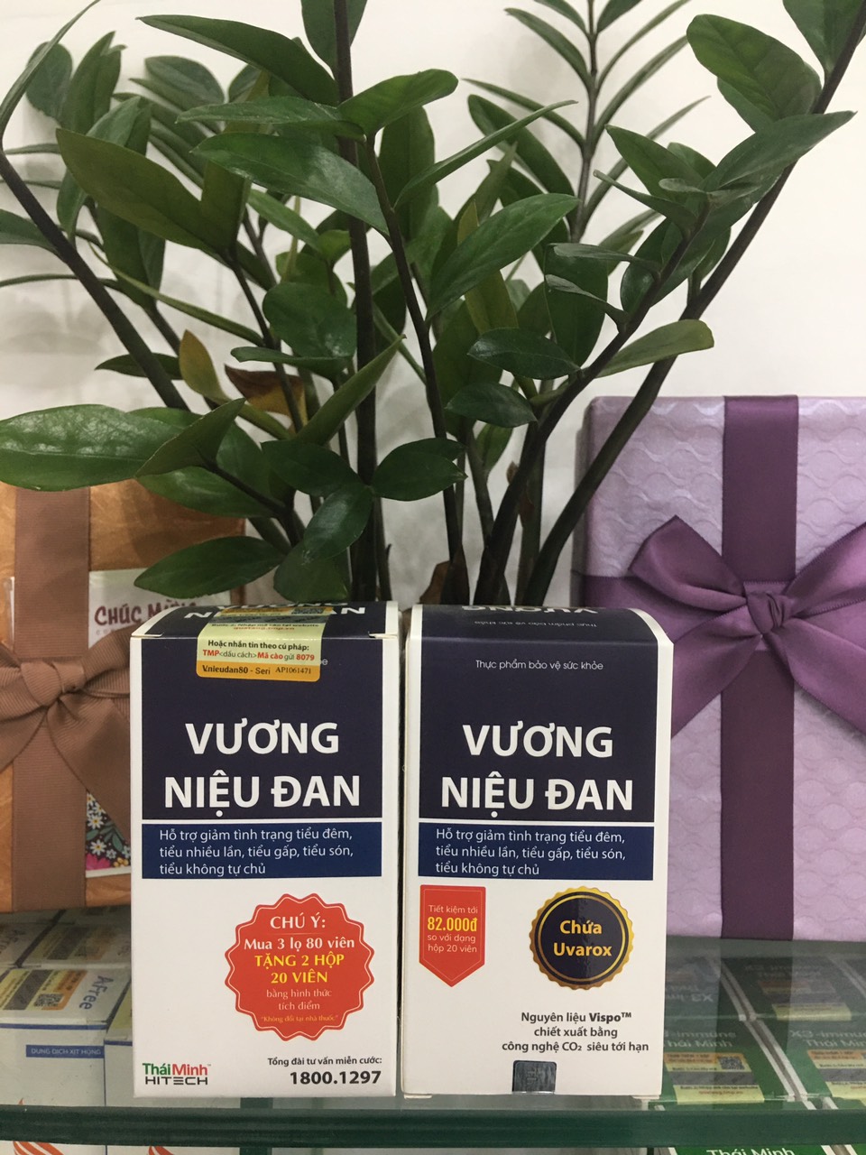 Vương Niệu Đan- giảm kích thích bàng quang, giảm tiểu đêm
