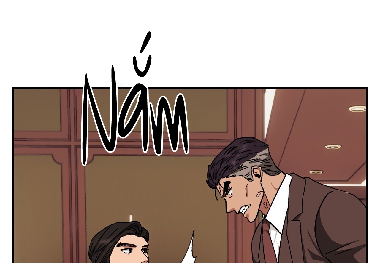 chàng dâu nhà họ kang chapter 40 84