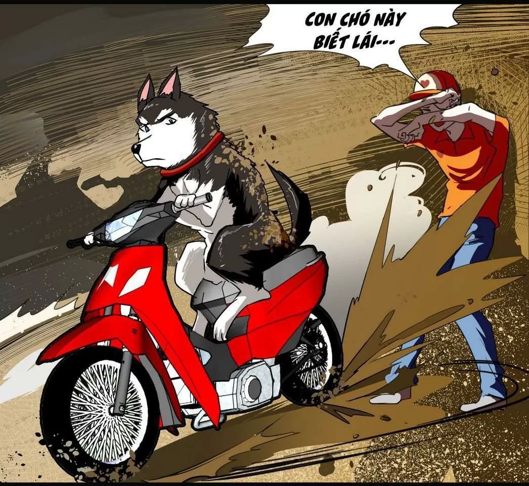 một con chó chapter 61 8