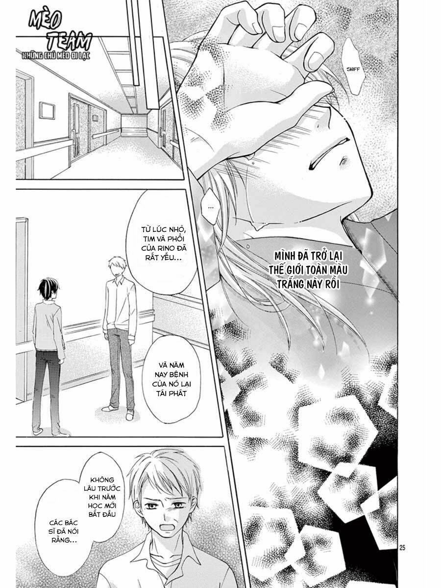 tớ muốn xem pháo hoa cậu làm chapter 1 30