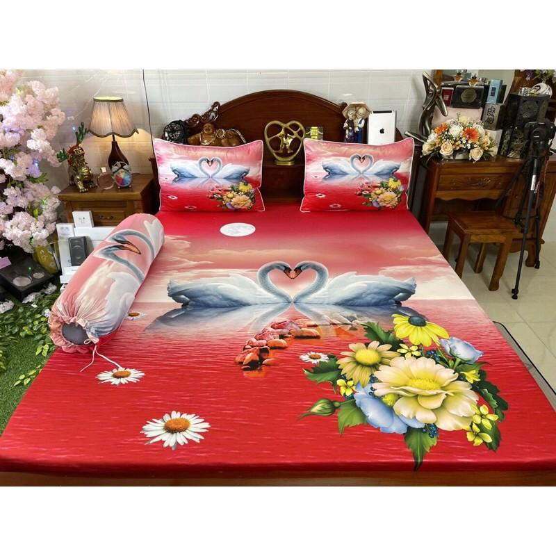 Drap thun hàn quốc