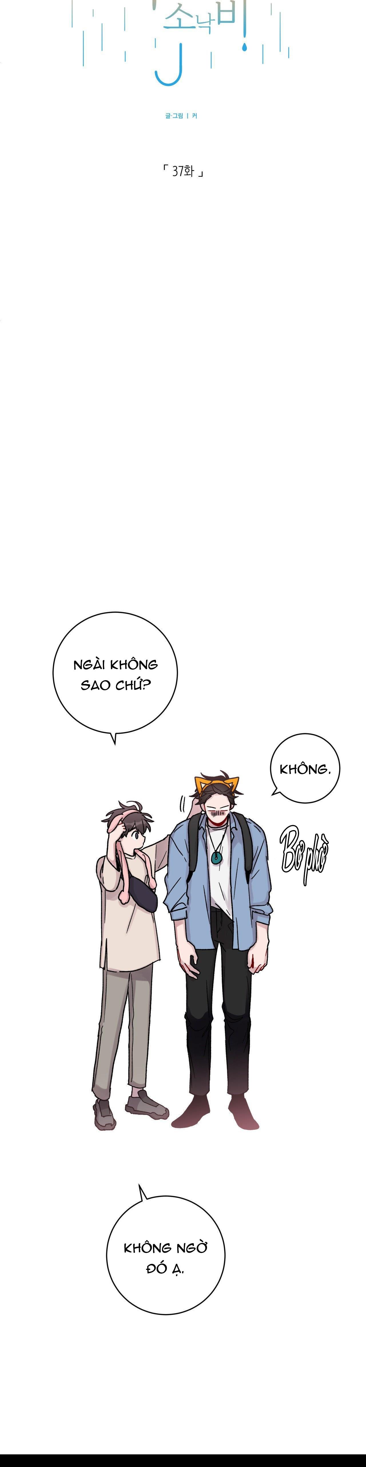 cơn mưa rào mùa hạ chapter 37 5