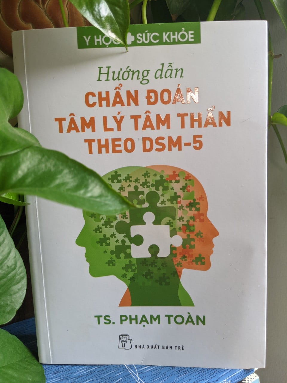 Hướng Dẫn Chẩn Đoán Tâm Lý Tâm Thần Theo DSM-5