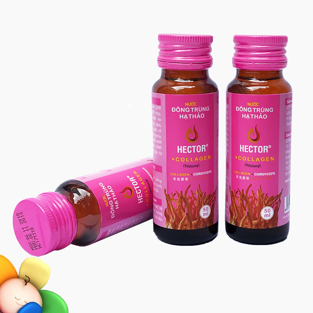 Combo 4 hộp 40 chai Đông trùng hạ thảo Hector Collagen Trẻ hóa nhanh