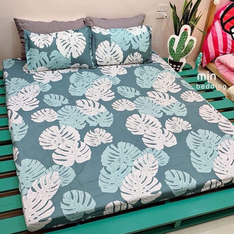 Set 5 món chăn hè ga chun Cotton Poly - Lá Khoai - Tặng kèm 1 móc khóa Houston