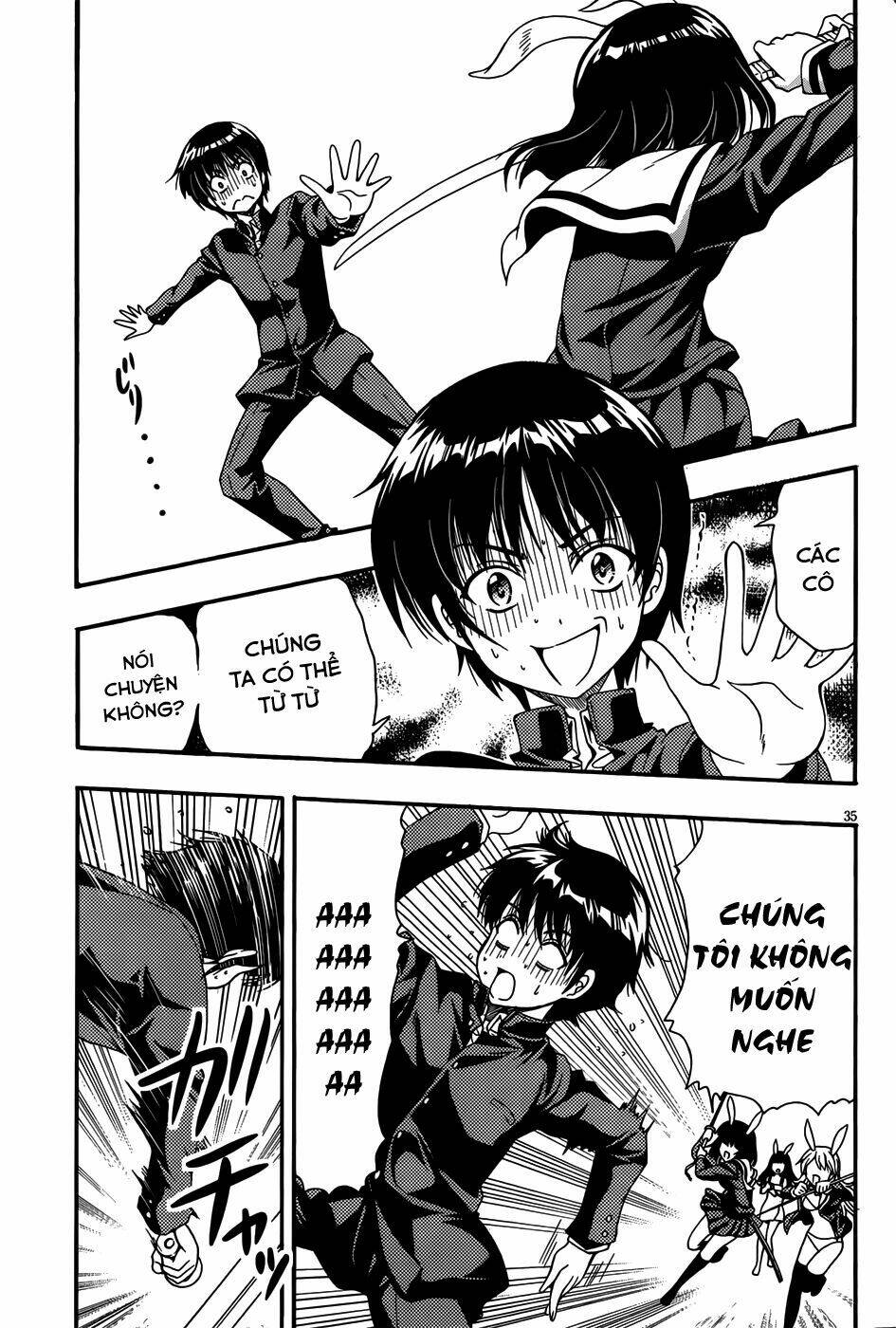 những cô gái có đôi tai thỏ chapter 1 34