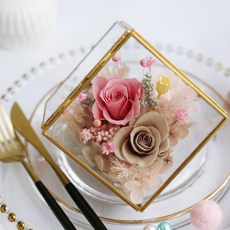 Bình TERRARIUM  - bình thủy tinh trồng cây - chậu kính hình học terarium