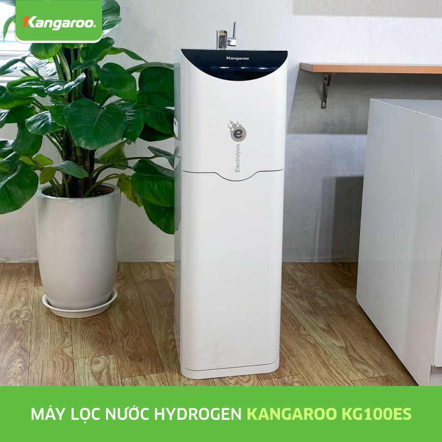 Máy lọc nước Kangaroo Hydrogen ion kiềm KG100ES1 - hàng chính hãng