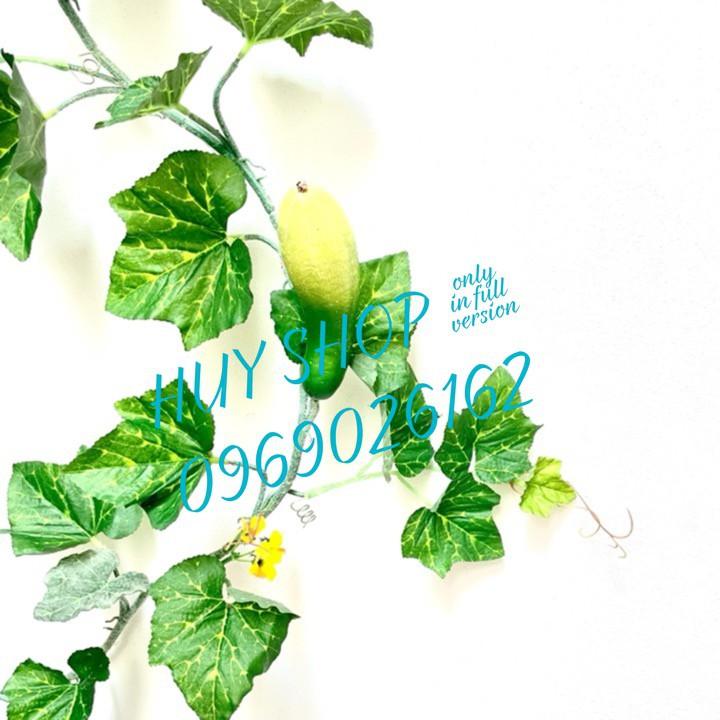 DÂY TRÁI NHÂN TẠO - DÂY TRÁI DƯA LEO TRANG TRÍ NHÀ CỬA