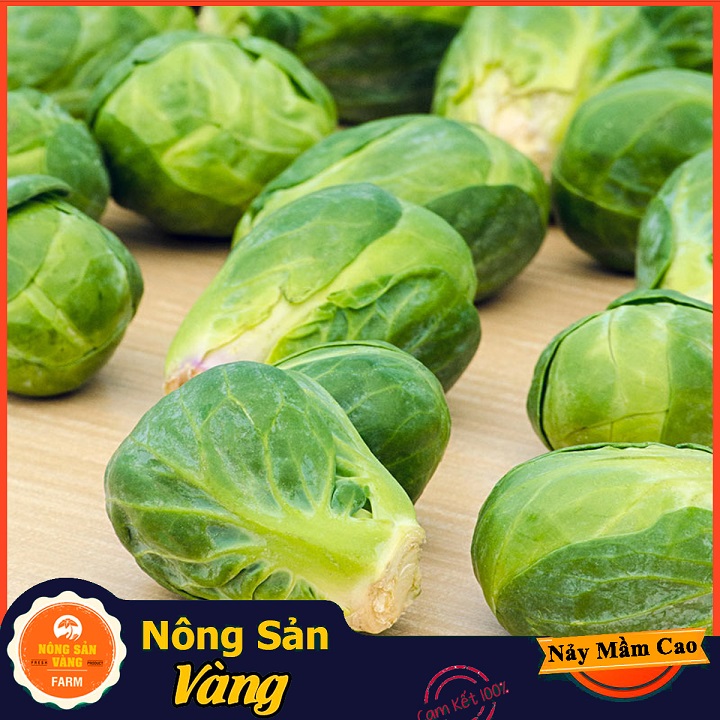 Hạt giống Bắp Cải Tí Hon Xanh - Nông Sản Vàng